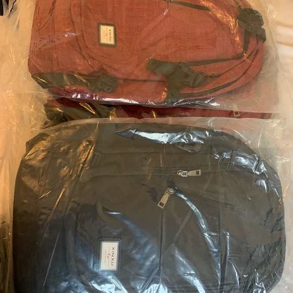 Backpack/laptop Carrier - Picture 3 of 3